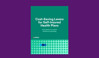 Cost-saving levers for self-insured health plans