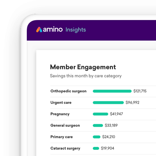 Amino Insights Breakdown