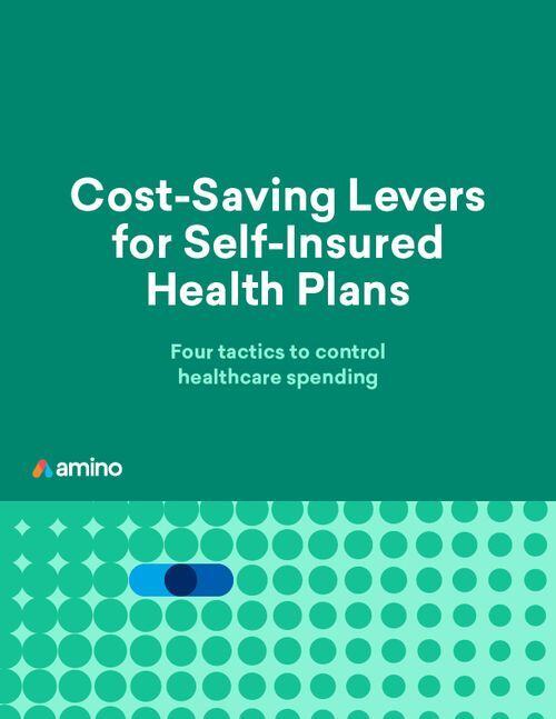 Cost Saving Levers for Self Insured Health Plans - eBook