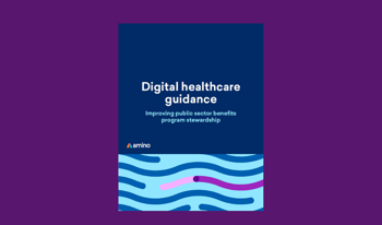 Digital healthcare guidance: Improving public sector benefits program stewardship