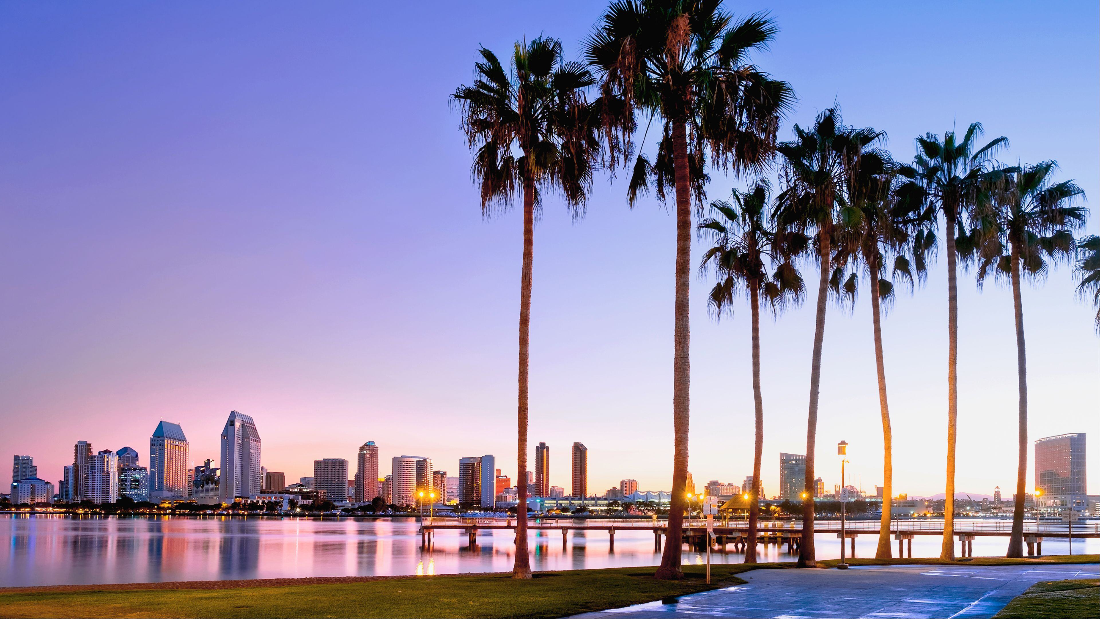 San-Diego-Palm-Trees